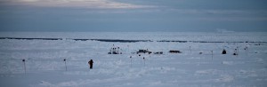 The beginning of our first ice station, with the Biogeochemistry team setting up their station in the distance. They spend 8-12 hours sampling to thoroughly characterize the atmosphere, sea ice, and ocean below. 